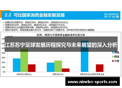 江苏苏宁足球发展历程探究与未来展望的深入分析