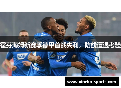 霍芬海姆新赛季德甲首战失利，防线遭遇考验